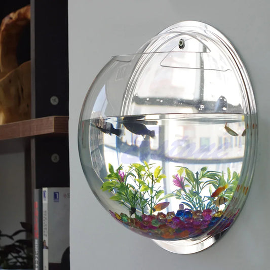 Pot Wall Hanging Mount Bubble