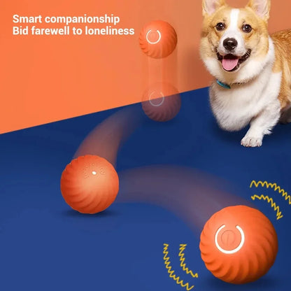 Smart Dog Toy Ball Automatic Electronic