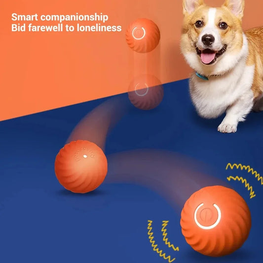 Smart Dog Toy Ball Automatic Electronic