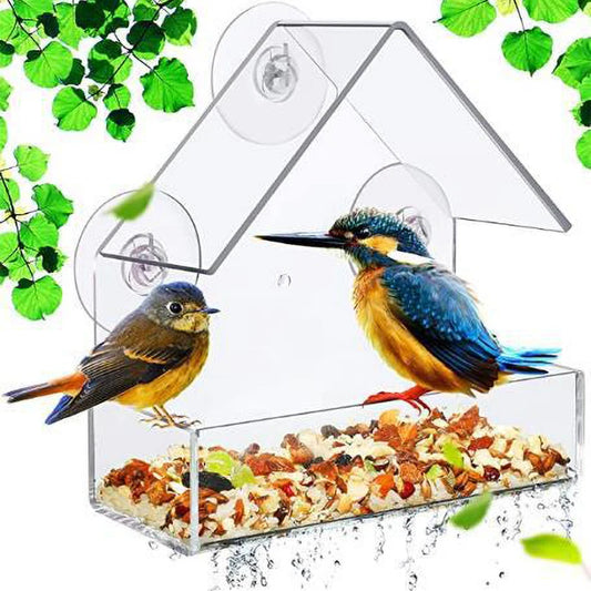 Bird Feeder Birds House
