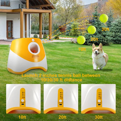 Ball Launcher Automatic For Dogs,