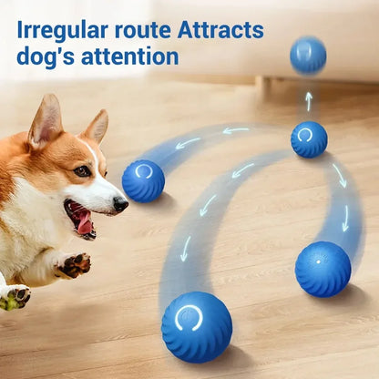 Smart Dog Toy Ball Automatic Electronic