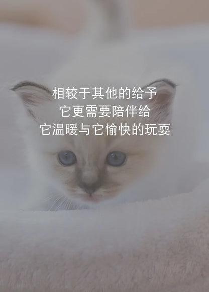 Automatic Vibration Cat Toy