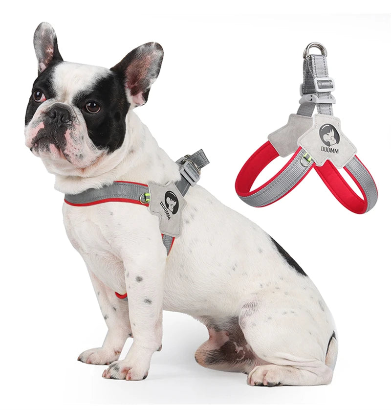 Reflective Pet Dog