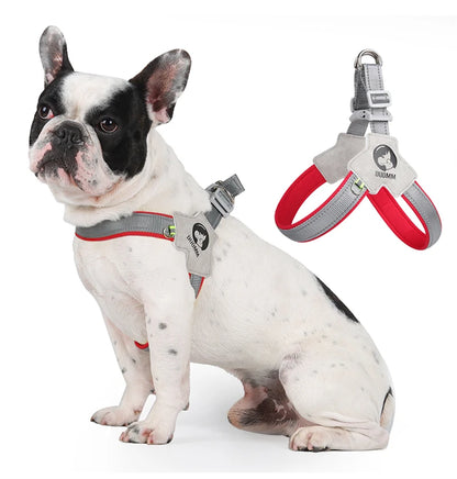 Reflective Pet Dog