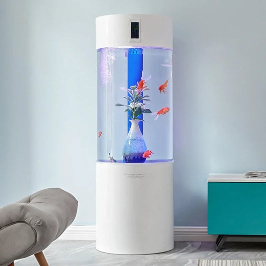 Aquarium Medium-sized Fish Tank