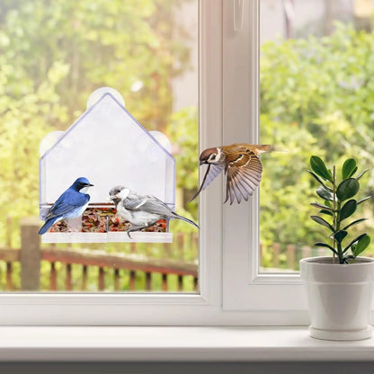 Bird Feeder Birds House